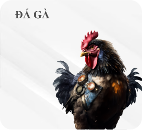 đá gà