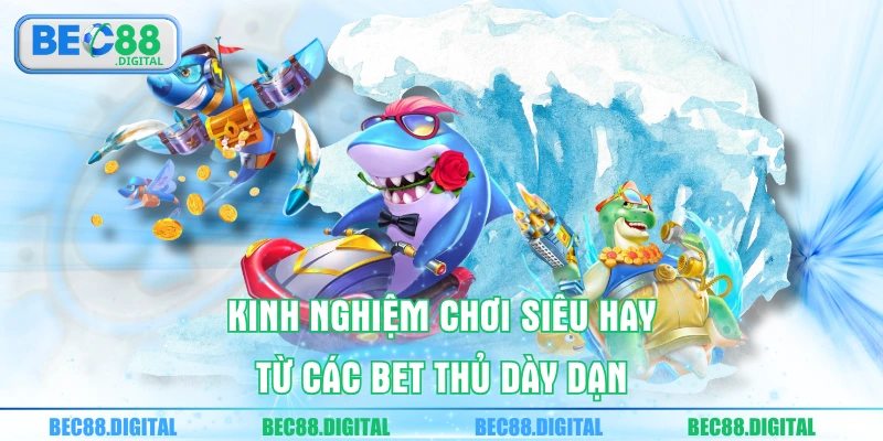 Kinh nghiệm chơi siêu hay từ các bet thủ dày dạn